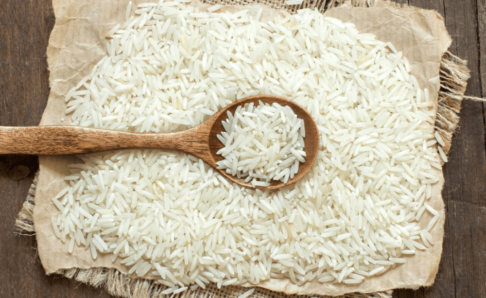 rice exporter