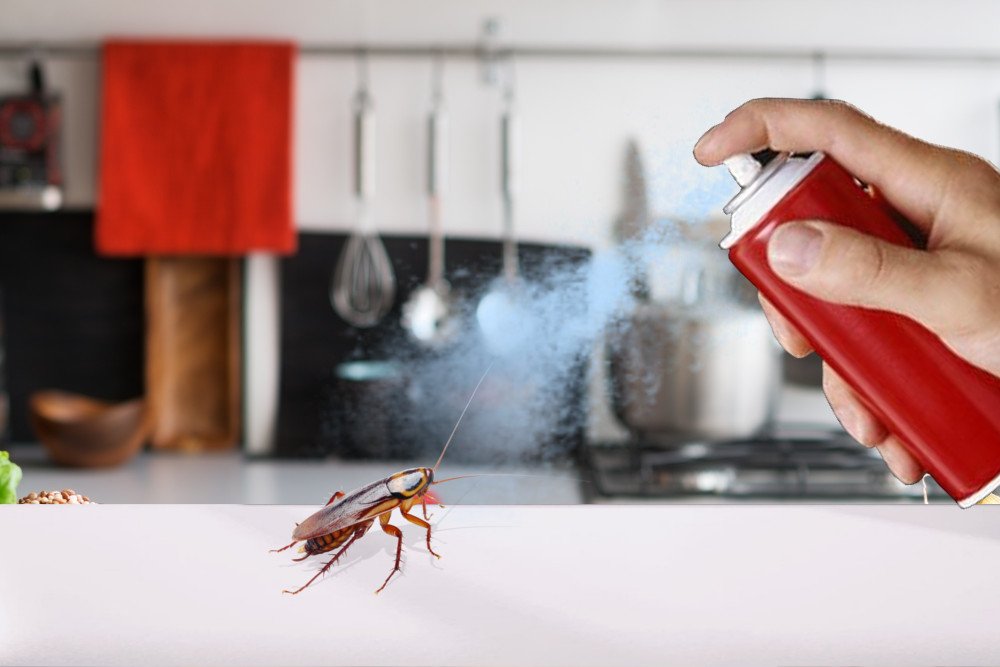 Pest Control For Cockroaches